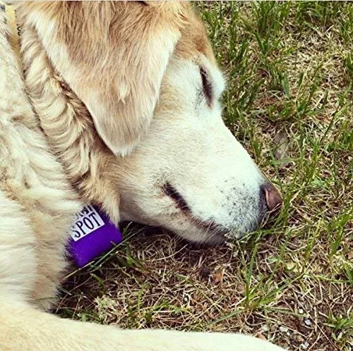 Funda para placa identificativa de mascotas Quiet Spot