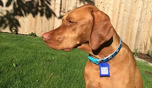 Funda para placa identificativa de mascotas Quiet Spot