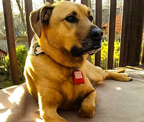 Funda para placa identificativa de mascotas Quiet Spot