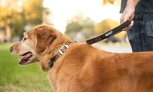 Leashboss Correa corta para perro con mango acolchado, correas de 12, 18 y 24 pulgadas para perros grandes, nailon de 1 pulgada