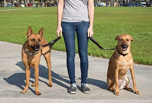 Leashboss Correa corta para perro con mango acolchado, correas de 12, 18 y 24 pulgadas para perros grandes, nailon de 1 pulgada