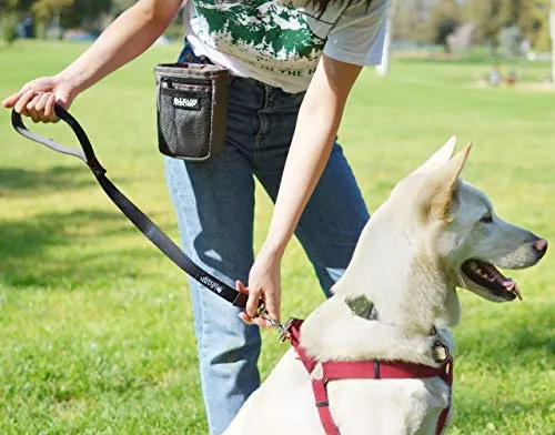 Leashboss Correa corta para perro con mango acolchado, correas de 12, 18 y 24 pulgadas para perros grandes, nailon de 1 pulgada