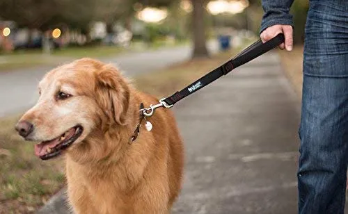 Leashboss Correa corta para perro con mango acolchado, correas de 12, 18 y 24 pulgadas para perros grandes, nailon de 1 pulgada