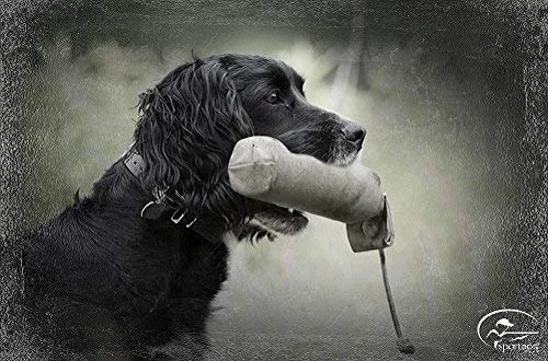 SportDOG - Chupetes de lona - Herramienta de entrenamiento para perros de caza - Parachoques pesado para un lanzamiento fácil - Mantiene fácilmente el aroma del juego - Flotadores