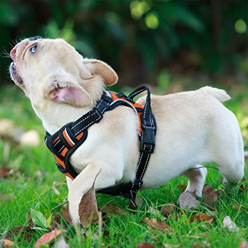Arnés para perro BARKBAY sin tirones, arnés para perro reflectante con clip frontal y mango de control fácil para caminar, entrenamiento, correr