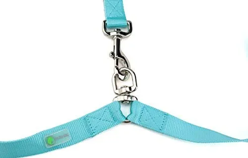 DCbark - Correa doble para perro sin enredos, longitud ajustable sin enredos, con asa acolchada cómoda para 2 perros