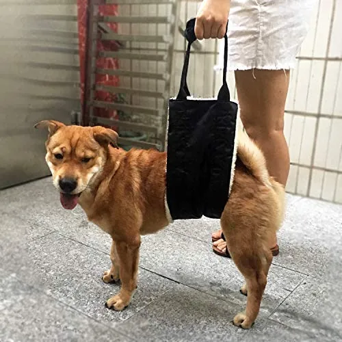 Arnés de apoyo y rehabilitación para patas traseras débiles, correa suave para ayudar al perro que es mayor, lesionado, discapacitado y después de cirugía ACL