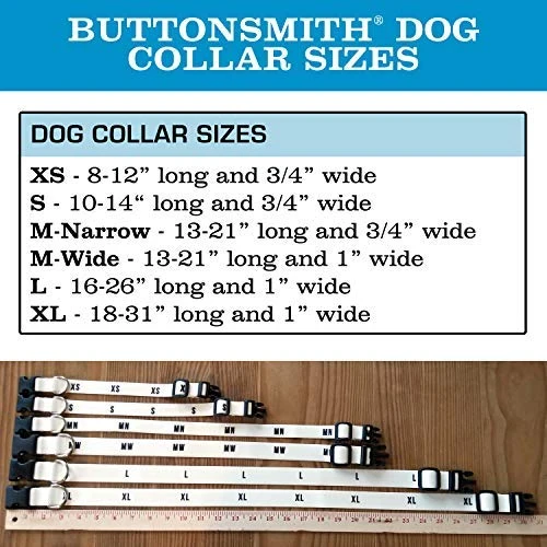 Collar de perro personalizado de Buttonsmith – Impresión permanente resistente a la decoloración, hebilla de grado militar resistente al óxido, resistente a olores y moho, elección de 5 tamaños, fabricado en los Estados Unidos