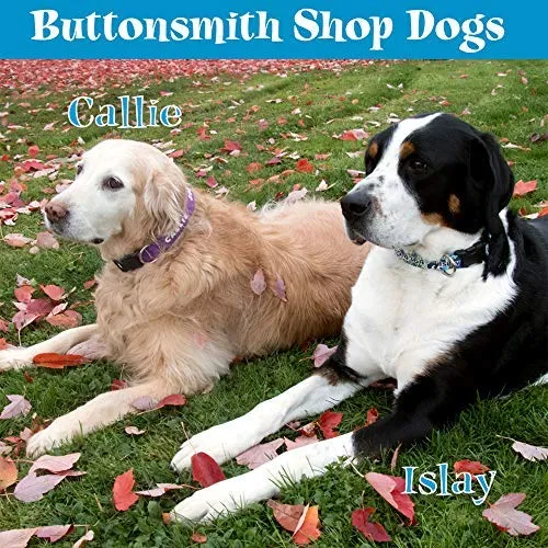 Collar de perro personalizado de Buttonsmith – Impresión permanente resistente a la decoloración, hebilla de grado militar resistente al óxido, resistente a olores y moho, elección de 5 tamaños, fabricado en los Estados Unidos