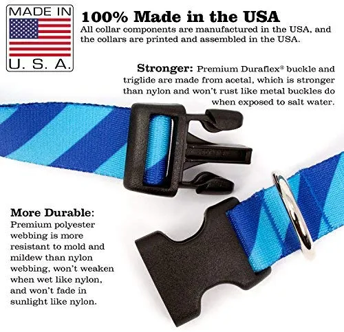 Collar de perro personalizado de Buttonsmith – Impresión permanente resistente a la decoloración, hebilla de grado militar resistente al óxido, resistente a olores y moho, elección de 5 tamaños, fabricado en los Estados Unidos