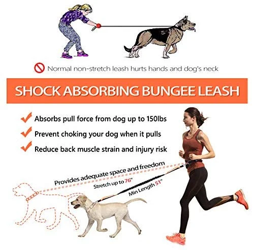 Correa para perro de LANNEY, manos libres, para correr, caminar, correr, entrenar senderismo, correa elástica retráctil para perros medianos a grandes, cinturón de cintura ajustable, costuras reflectantes, doble asa