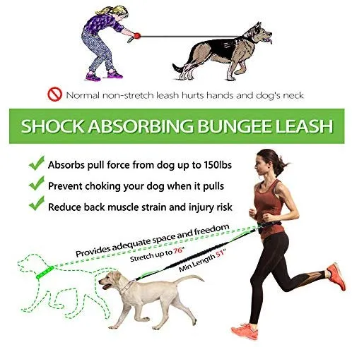 Correa para perro de LANNEY, manos libres, para correr, caminar, correr, entrenar senderismo, correa elástica retráctil para perros medianos a grandes, cinturón de cintura ajustable, costuras reflectantes, doble asa