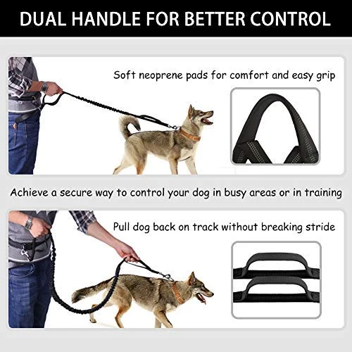 Correa para perro de LANNEY, manos libres, para correr, caminar, correr, entrenar senderismo, correa elástica retráctil para perros medianos a grandes, cinturón de cintura ajustable, costuras reflectantes, doble asa