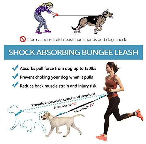 Correa para perro de LANNEY, manos libres, para correr, caminar, correr, entrenar senderismo, correa elástica retráctil para perros medianos a grandes, cinturón de cintura ajustable, costuras reflectantes, doble asa