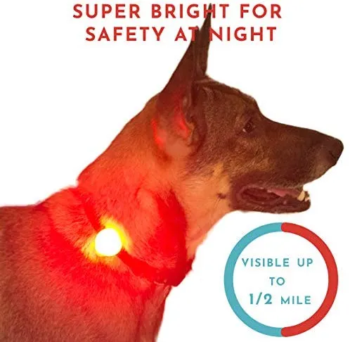 Hunter Paisley Luz LED para Collar de Perro Caminando por la Noche.Paquete de 2 Pack Impermeable Perro Luz LED Super Brillante para Perro Paseo Nocturno Adjuntar al Collar, Correa o Arnés, Baterías Extras