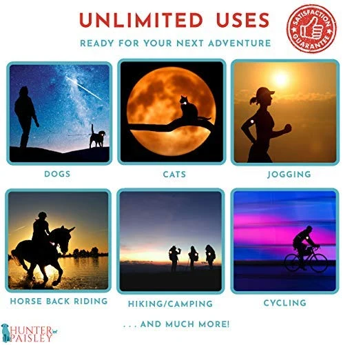 Hunter Paisley Luz LED para Collar de Perro Caminando por la Noche.Paquete de 2 Pack Impermeable Perro Luz LED Super Brillante para Perro Paseo Nocturno Adjuntar al Collar, Correa o Arnés, Baterías Extras