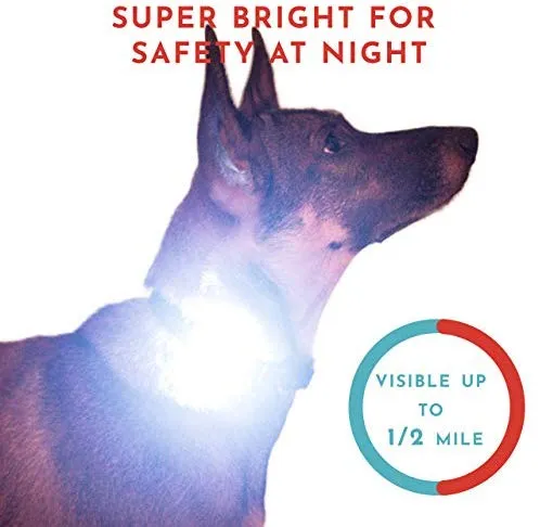 Hunter Paisley Luz LED para Collar de Perro Caminando por la Noche.Paquete de 2 Pack Impermeable Perro Luz LED Super Brillante para Perro Paseo Nocturno Adjuntar al Collar, Correa o Arnés, Baterías Extras