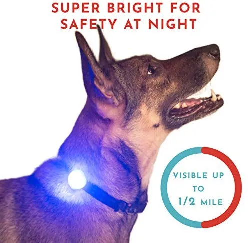 Hunter Paisley Luz LED para Collar de Perro Caminando por la Noche.Paquete de 2 Pack Impermeable Perro Luz LED Super Brillante para Perro Paseo Nocturno Adjuntar al Collar, Correa o Arnés, Baterías Extras