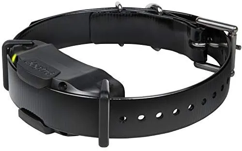 Dogtra 1900S/1902S - Collar de entrenamiento remoto de 3/4 millas, impermeable, recargable, vibración, incluye pulsador de entrenamiento para perros PetsTEK
