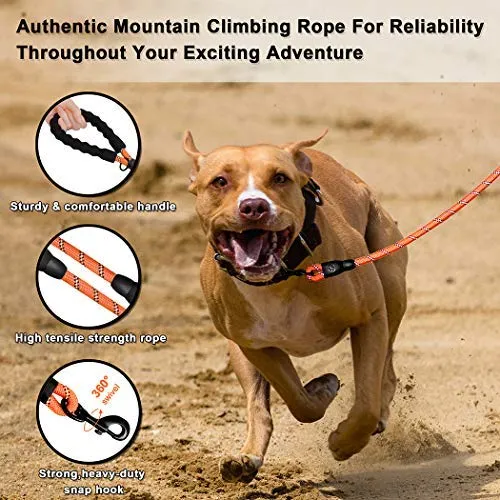Correa para perro de Barkbay para perros grandes, resistente correa para perro con cómodo mango acolchado e hilos altamente reflectantes, 4.9 ft para perros pequeños y medianos, grandes
