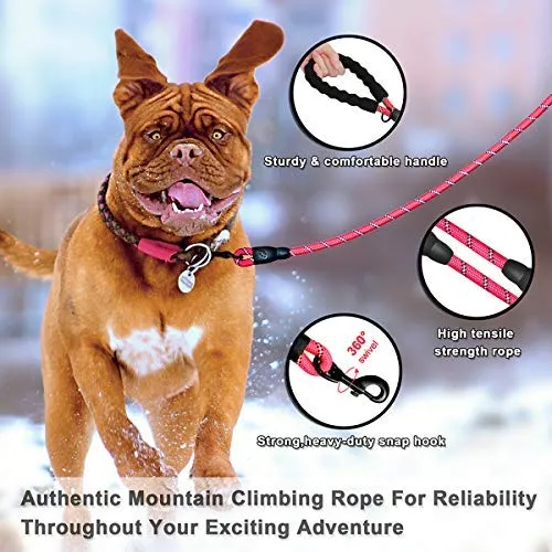 Correa para perro de Barkbay para perros grandes, resistente correa para perro con cómodo mango acolchado e hilos altamente reflectantes, 4.9 ft para perros pequeños y medianos, grandes