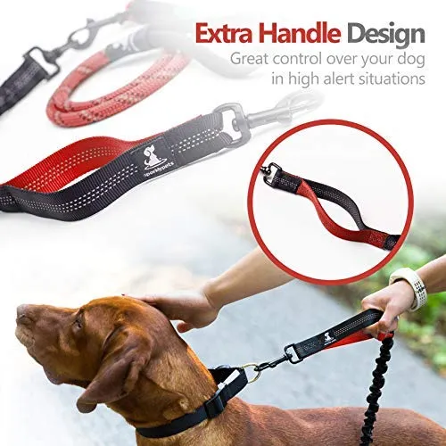SparklyPets Heavy Duty Rope Bungee Leash for Large and Medium Dogs with Anti-Pull for Shock Absorption - No Slip Reflective Leash for Outside
