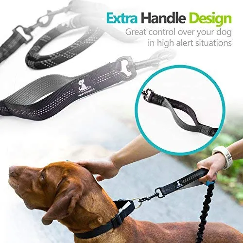 SparklyPets Heavy Duty Rope Bungee Leash for Large and Medium Dogs with Anti-Pull for Shock Absorption - No Slip Reflective Leash for Outside