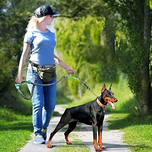 SHINE HAI - Correa para perro con doble elástico para manos libres, control gratuito para perros de hasta 150 libras, correa elástica duradera de doble asa con cinturón ajustable para correr, correr o caminar, gris