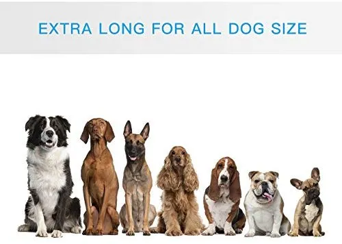 SHINE HAI - Correa para perro con doble elástico para manos libres, control gratuito para perros de hasta 150 libras, correa elástica duradera de doble asa con cinturón ajustable para correr, correr o caminar, gris