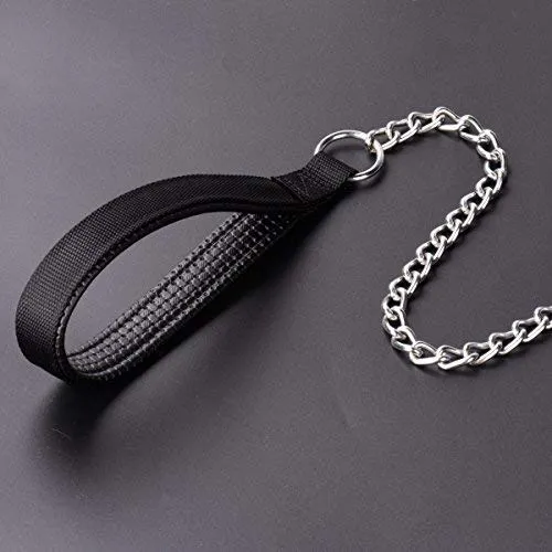 CtopoGo - Correa de metal para perro con asa acolchada para perros grandes y medianos