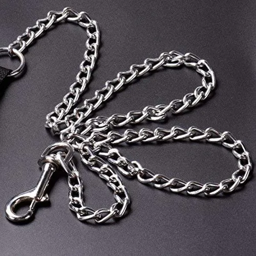 CtopoGo - Correa de metal para perro con asa acolchada para perros grandes y medianos
