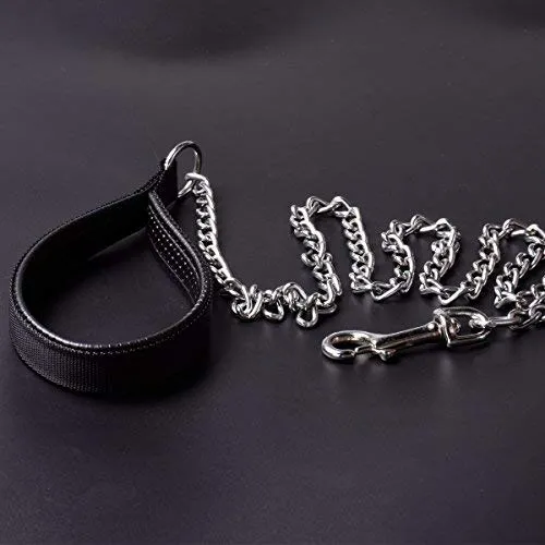 CtopoGo - Correa de metal para perro con asa acolchada para perros grandes y medianos