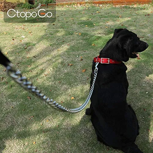 CtopoGo - Correa de metal para perro con asa acolchada para perros grandes y medianos