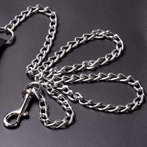 CtopoGo - Correa de metal para perro con asa acolchada para perros grandes y medianos
