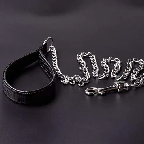 CtopoGo - Correa de metal para perro con asa acolchada para perros grandes y medianos
