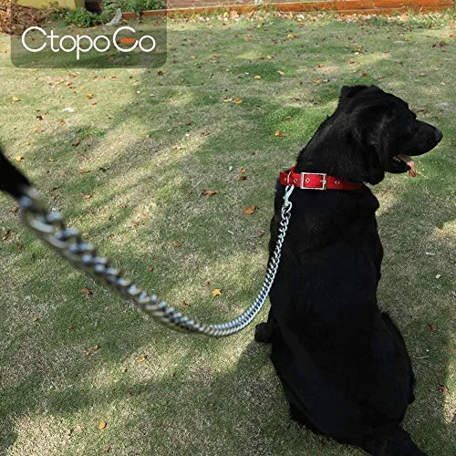 CtopoGo - Correa de metal para perro con asa acolchada para perros grandes y medianos