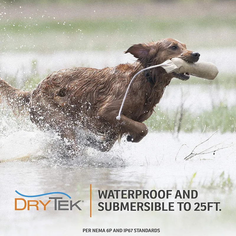 SportDOG Marca NoBark Recargable Collar de Control de Corteza