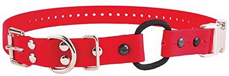 Educator - Collar elástico de cierre rápido