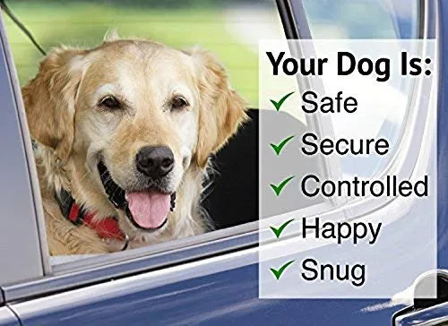 BWOGUE Cinturones de seguridad para perros y gatos, correas de seguridad ajustables para reposacabezas de coche