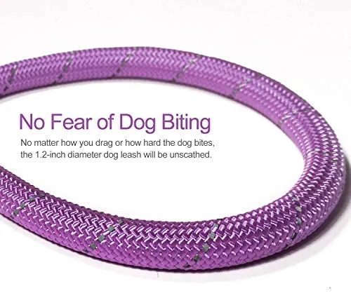 VLDCO - Correa para perro de 9.8 ft, extra resistente, con asa acolchada y cómoda, hilos altamente reflectantes para perros pequeños, medianos y grandes, diámetro de 0.5 in