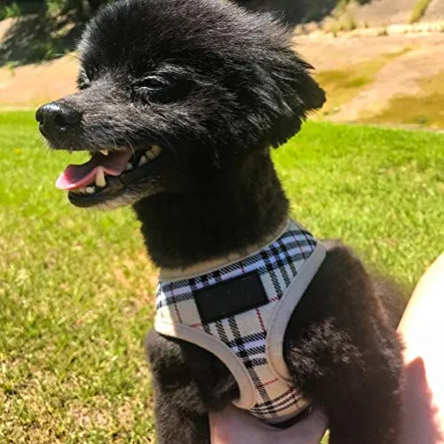 Ringloose - Arnés de malla suave para perros pequeños, medianos, cachorros, mascotas, fácil de controlar, para caminar y entrenar