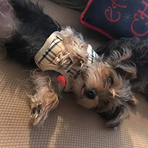 Ringloose - Arnés de malla suave para perros pequeños, medianos, cachorros, mascotas, fácil de controlar, para caminar y entrenar
