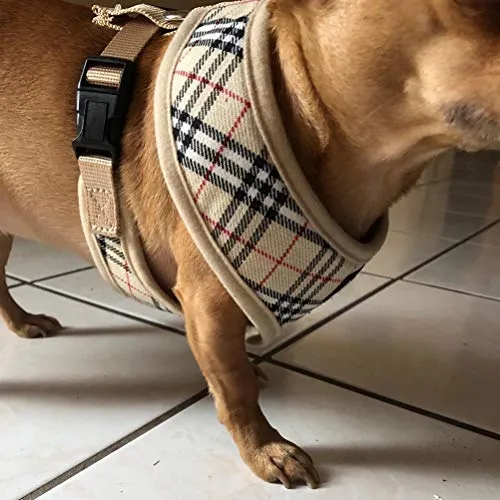 Ringloose - Arnés de malla suave para perros pequeños, medianos, cachorros, mascotas, fácil de controlar, para caminar y entrenar