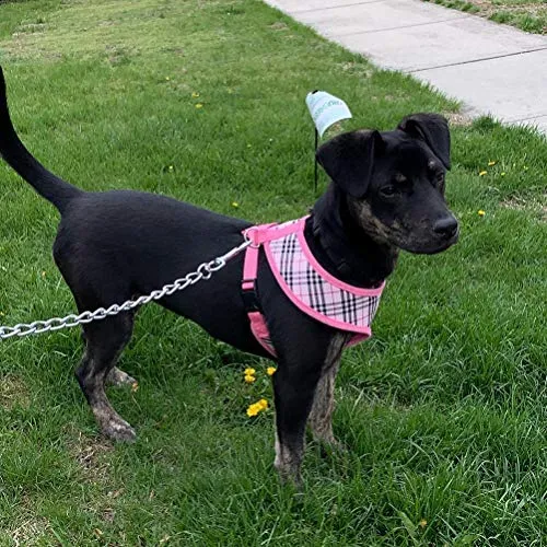 Ringloose - Arnés de malla suave para perros pequeños, medianos, cachorros, mascotas, fácil de controlar, para caminar y entrenar