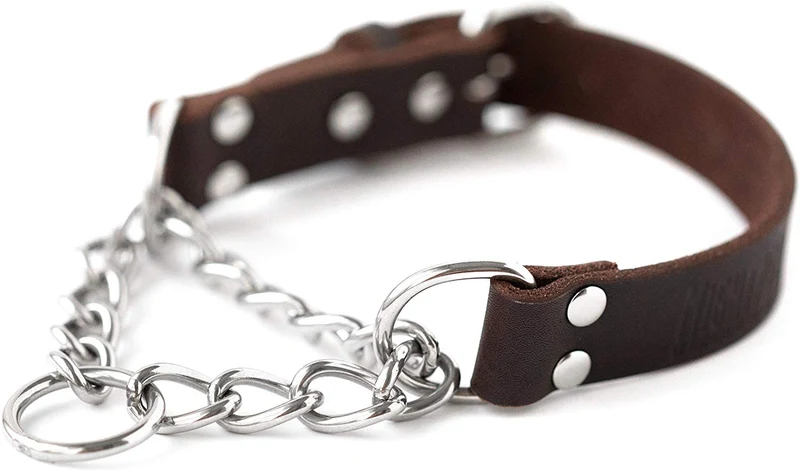 Mighty Paw Collar de cuero para entrenamiento, collar Martingale, cadena de acero inoxidable, calidad premium, collar de cadena limitada