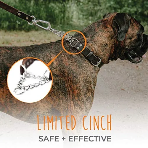 Mighty Paw Collar de cuero para entrenamiento, collar Martingale, cadena de acero inoxidable, calidad premium, collar de cadena limitada