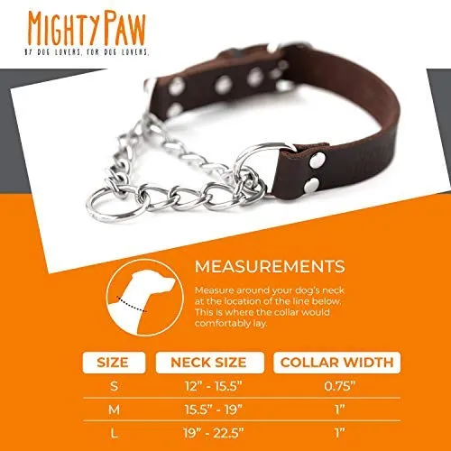 Mighty Paw Collar de cuero para entrenamiento, collar Martingale, cadena de acero inoxidable, calidad premium, collar de cadena limitada