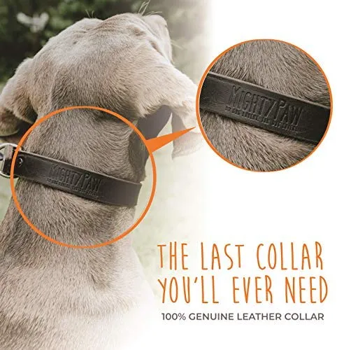 Mighty Paw Collar de cuero para entrenamiento, collar Martingale, cadena de acero inoxidable, calidad premium, collar de cadena limitada