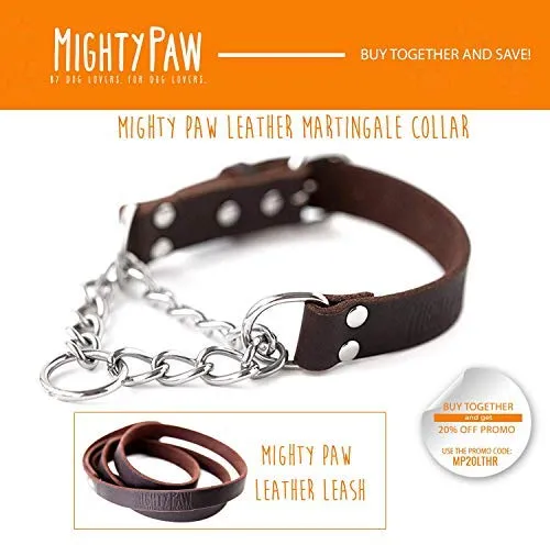 Mighty Paw Collar de cuero para entrenamiento, collar Martingale, cadena de acero inoxidable, calidad premium, collar de cadena limitada