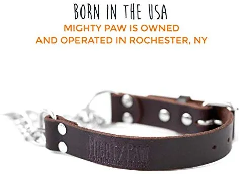 Mighty Paw Collar de cuero para entrenamiento, collar Martingale, cadena de acero inoxidable, calidad premium, collar de cadena limitada
